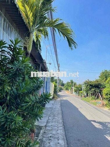 Đất Tân An mặt tiền DX 125 gần chợ Bến Thế nhựa thông 5m i hình