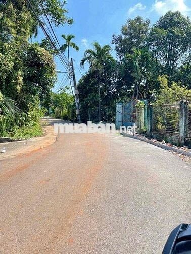 Đất Tân An mặt tiền DX 125 gần chợ Bến Thế nhựa thông 5m i hình