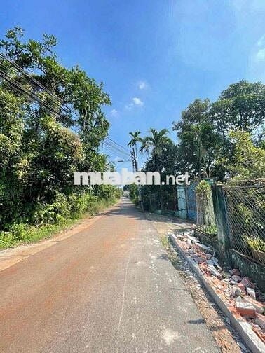 Đất Tân An mặt tiền DX 125 gần chợ Bến Thế nhựa thông 5m i hình