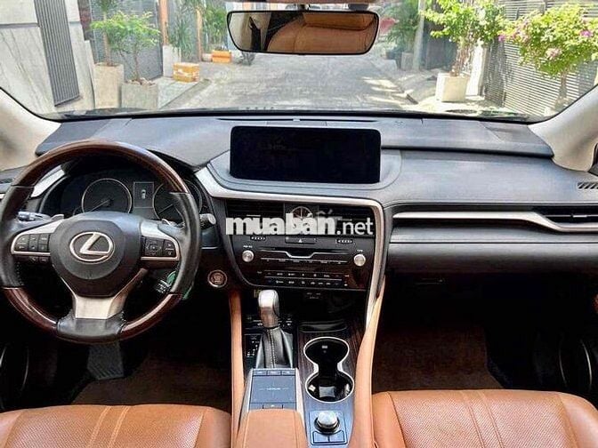 LEXUS RX300 2.0 Turbo 2020 – Màu Xanh Cavansite