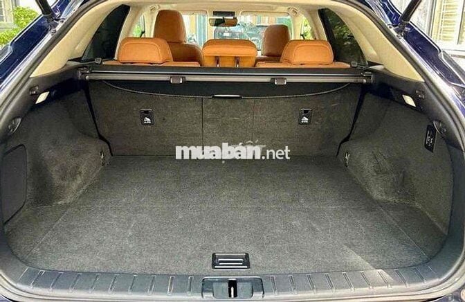 Lexus RX 2020 300 - 56000 km - 2 tỷ 650