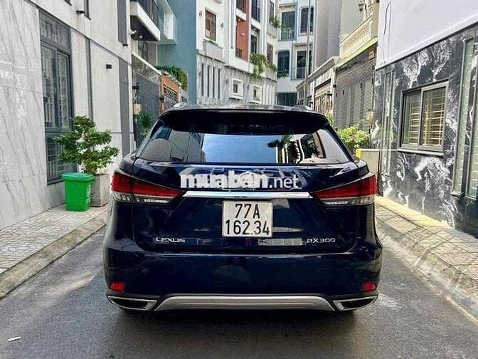 LEXUS RX300 2.0 Turbo 2020 – Màu Xanh Cavansite