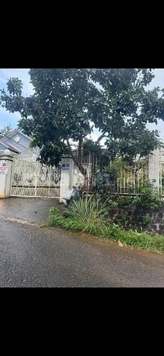 Bán nhà hẻm xe hơi đường Lam Sơn, Thành phố Bảo Lộc, Làm Đồng