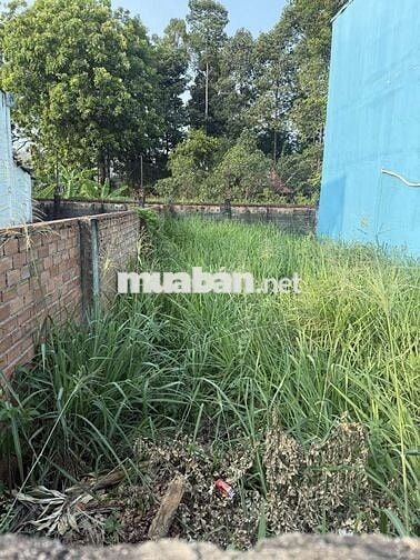 💥💥💥CG ĐẤT ĐƯỜNG XE HƠI 6M.NGANG 6M
  .ĐẤT MẶT TIỀN ĐƯỜNG SỐ.