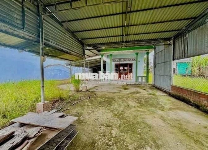 Chủ cần bán Đất đô thị XÃ TÂN TRỤ, LONG AN