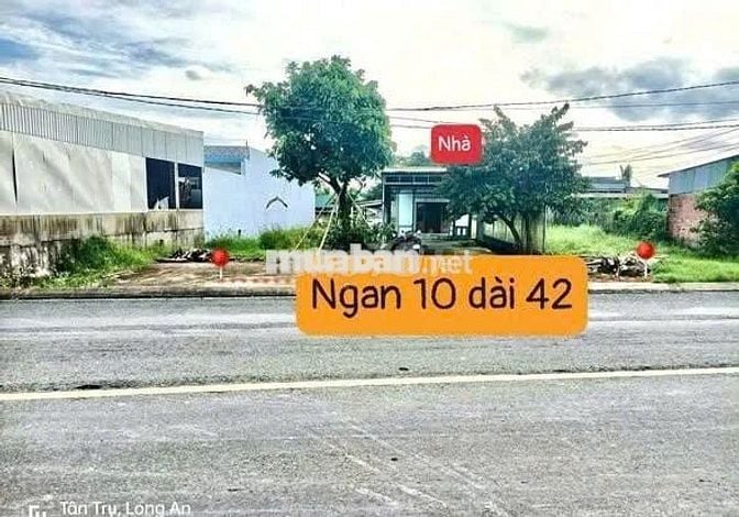 Chủ cần bán Đất đô thị XÃ TÂN TRỤ, LONG AN