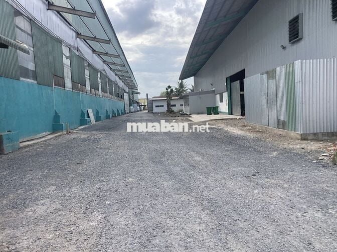 Cho thuê kho xưởng 6.000m2 Hướng Thọ Phú, Tân An,Long An (cũ), giá tốt