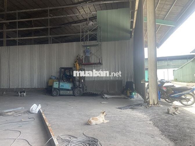Cho thuê kho xưởng 6.000m2 Hướng Thọ Phú, Tân An,Long An (cũ), giá tốt