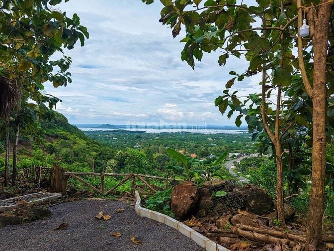 BÁN GẤP ĐẤT ĐỒI VIEW HỒ TRỊ AN – KHÍ HẬU MÁT MẺ, ĐẦU TƯ LỜI CAO – GIÁ 