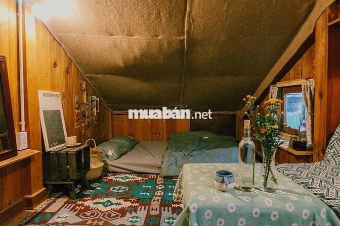 CẦN SANG HOMESTAY NHÀ GỖ SIÊU CHILL ĐÀ LẠT – ĐƯỜNG CAO BÁ QUÁT, P7