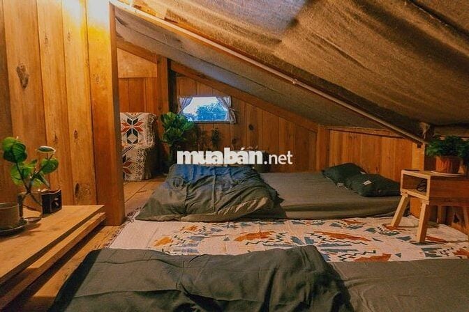 CẦN SANG HOMESTAY NHÀ GỖ SIÊU CHILL ĐÀ LẠT – ĐƯỜNG CAO BÁ QUÁT, P7