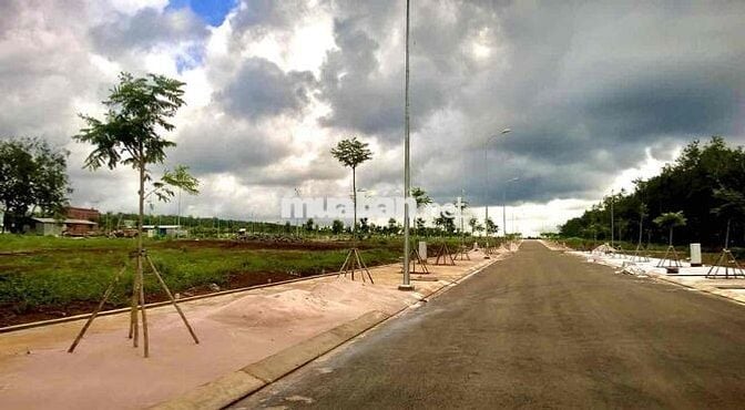 Đất trung tâm hành chính Dầu Giây ,hạ tầng hoàn thiện, sổ đỏ riêng