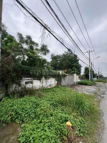 BÁN GẤP KHU ĐẤT MT ĐẸP – NGUYỄN ĐÌNH KIÊN, P. TÂN TẠO A, BÌNH TÂN