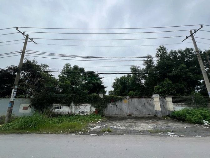 BÁN GẤP KHU ĐẤT MT ĐẸP – NGUYỄN ĐÌNH KIÊN, P. TÂN TẠO A, BÌNH TÂN