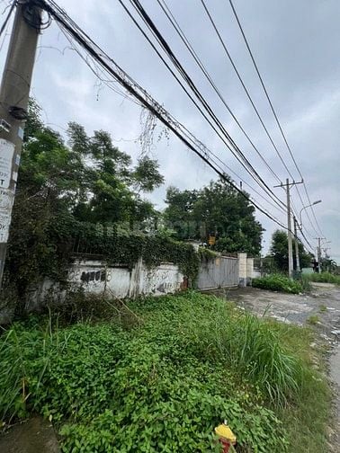 BÁN GẤP KHU ĐẤT MT ĐẸP – NGUYỄN ĐÌNH KIÊN, P. TÂN TẠO A, BÌNH TÂN