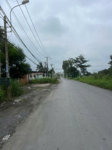 BÁN GẤP KHU ĐẤT MT ĐẸP – NGUYỄN ĐÌNH KIÊN, P. TÂN TẠO A, BÌNH TÂN