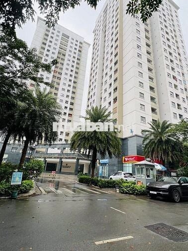 BÁN CĂN HỘ NO4A NGOẠI GIAO ĐOÀN  DT: 79M; TẦNG TRUNG ĐẸP