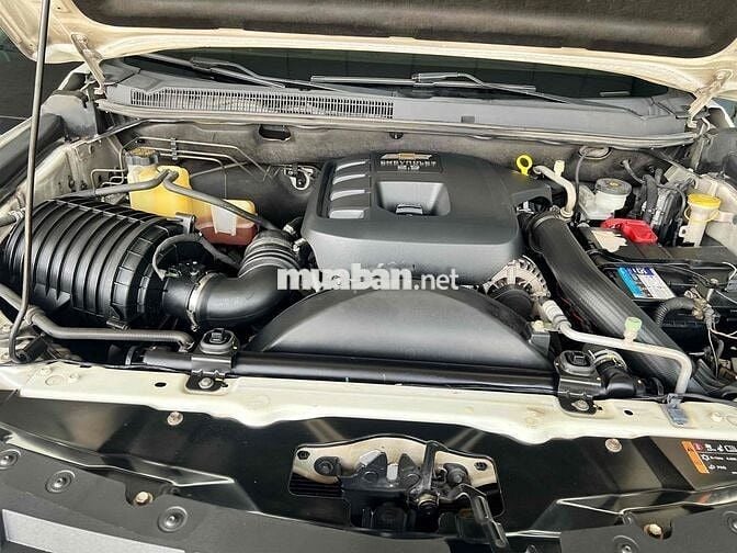 colorado bán tải số tự động