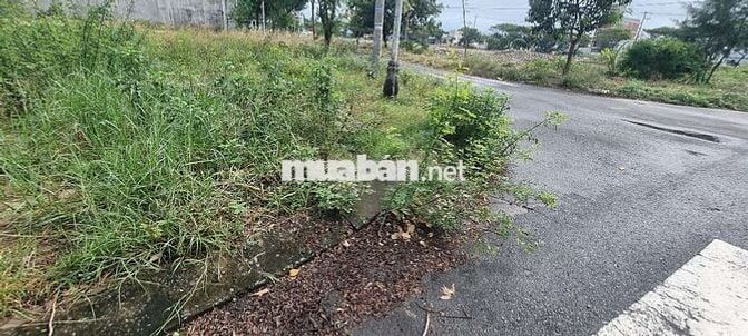 BÁN LÔ GÓC 2 MT LÊ NHƯ HỔ VỚI ĐÔNG HẢI 11 VIEW CHỢ