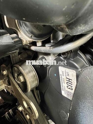 colorado bán tải số tự động