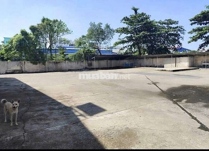 CHO  THUÊ  KHO  ( 4000m2) PHƯỜNG  AN  LẠC. QUẬN  BÌNH  TÂN