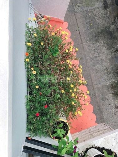 LÊ THÚC HOẶCH-32M2-2TẦNG 2PN-HẺM ÔTÔ -CHỈ 3.850 TỶ