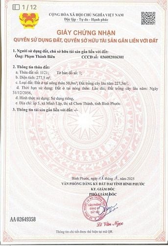 Tôi chính chủ cần bán lô đất chơn thành 10x50m,Tc 100m2,Giá 330Tr/nền