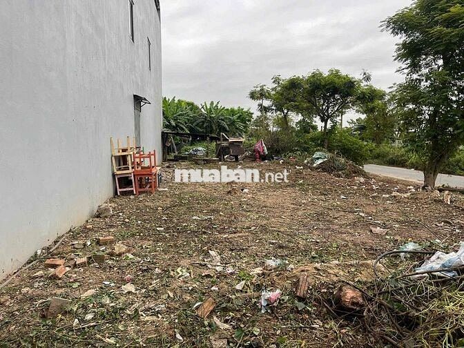 Chính chủ cần tiền bán lô góc đường Nguyễn Thế Kỷ 170m2