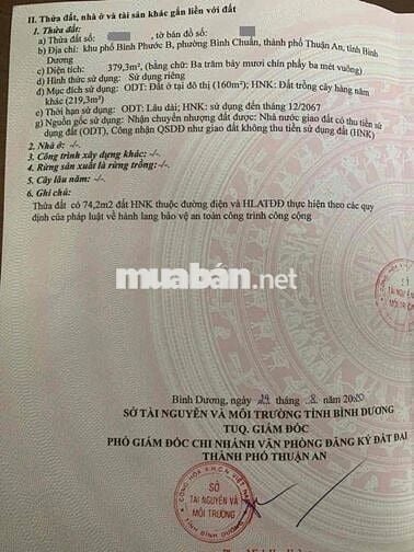 Đất rộng 379,3m2 gần ngã tư Miếu Ông cù, p Bình Chuẩn, Tp Dĩ An