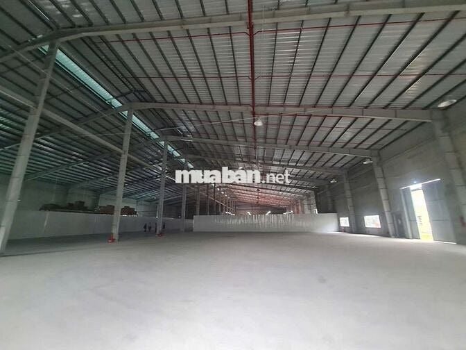 CHO THUÊ KHO XƯỞNG CHUẨN KCN 2.100m² BẾN LỨC CONTAINER 40ft THOẢI MÁI