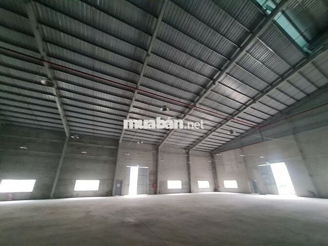 CHO THUÊ KHO XƯỞNG CHUẨN KCN 2.100m² BẾN LỨC CONTAINER 40ft THOẢI MÁI