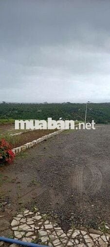 BÁN LÔ ĐẤT VIEW ĐẸP GẦN QUỐC LỘ 20 LÂM ĐỒNG