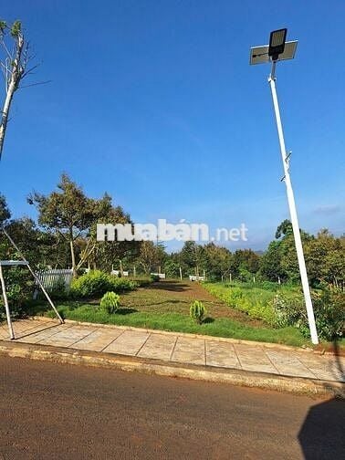 Bán đất chính chủ thanh toán 739tr sang sổ ngay tại Bảo Lộc