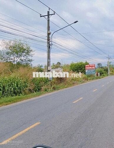 Sang nhanh 250m2 lô đất ngộp MT DH519 giá rẻ,sổ riêng công chứng ngay