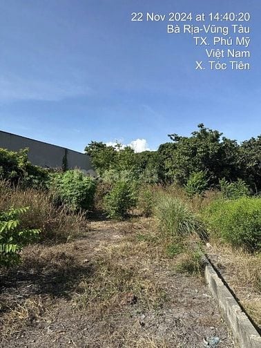 Công ty Đấu giá hợp danh Lam Sơn Sài Gòn THÔNG BÁO ĐẤU GIÁ TÀI SẢN