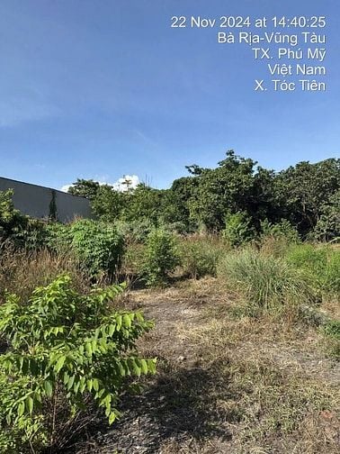 Công ty Đấu giá hợp danh Lam Sơn Sài Gòn THÔNG BÁO ĐẤU GIÁ TÀI SẢN