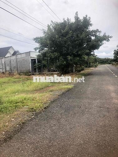 Ông có nền đất ở ngay mặt tiền đường huyện 462m2 muốn bán giá 670tr