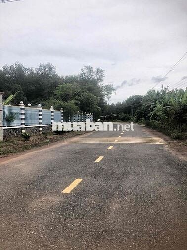 Ông có nền đất ở ngay mặt tiền đường huyện 462m2 muốn bán giá 670tr