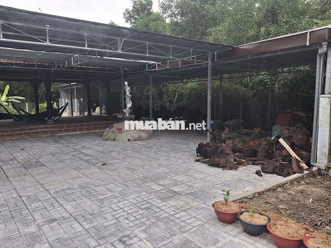 Mặt bằng kinh doanh quán ăn - quán cafe 900m2,   Gần Ngã 4 Thanh Điền