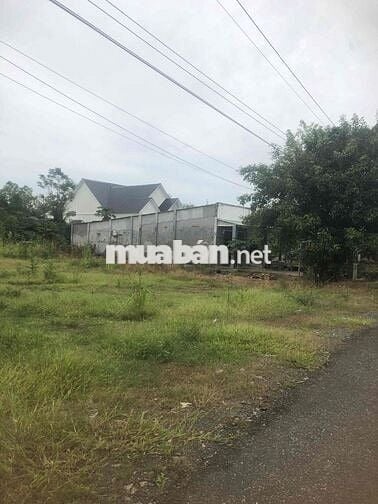 Ông có nền đất ở ngay mặt tiền đường huyện 462m2 muốn bán giá 670tr