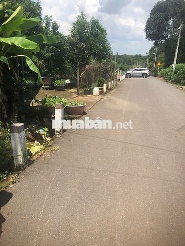 Chính Chủ Cần Bán Lô Đất Ở Mặt Tiền DH519