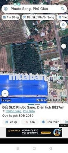Đất SKC SX kinh doanh đóng tiền 1 lần 30 năm, 8.800m² giá 21,5 tỷ