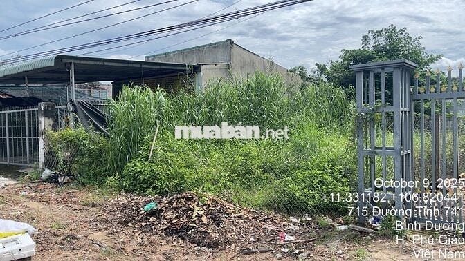 Bán đất 719.6m2 tại đường 741, An Bình, Phú Giáo, Bình Dương