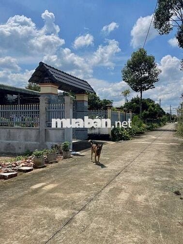 Cần ra gấp đất sẵn nhà mt DH giá rẻ_công chứng liền để qua Mỹ định cư