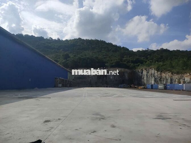 CHO THUÊ BÃI CHỨA HÀNG 1HA  5HA TẠI TRUNG TÂM TP. BÀ RỊA