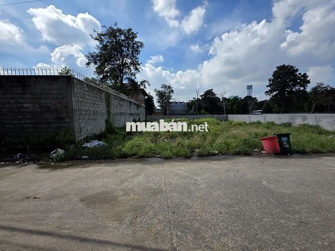 Đất đẹp mặt tiền Cây Da Xề gần BigC Go p. Đông Hòa Dĩ An