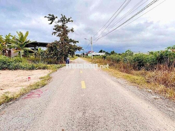 Chính chủ bán 200m2 mặt nhựa ngay chợ Trừ Văn Thố 650tr