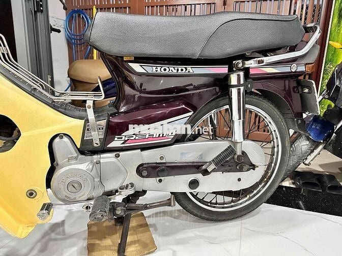 Dream tem Hồng cổ chính chủ