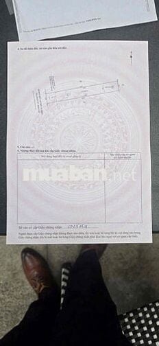 Chính chủ bán 200m2 mặt nhựa ngay chợ Trừ Văn Thố 650tr