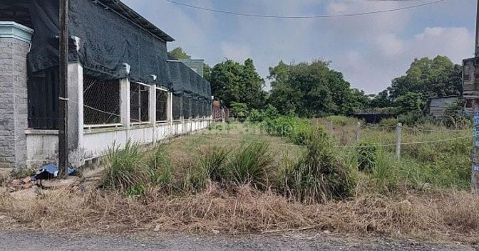 Cần bán đất thổ cư đường nguyễn kim cương tân thạnh đông,củ chi 